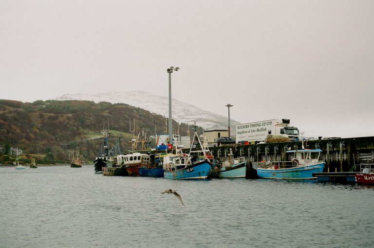 Credit: Margaret Salmon, Shore, 2018 Photo Margaret Salmon Fishing boats in a harbour