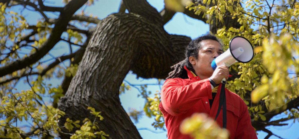 A man perches on a branch high in a tree, calling through a megaphone