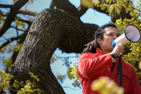 A man perches on a branch high in a tree, calling through a megaphone