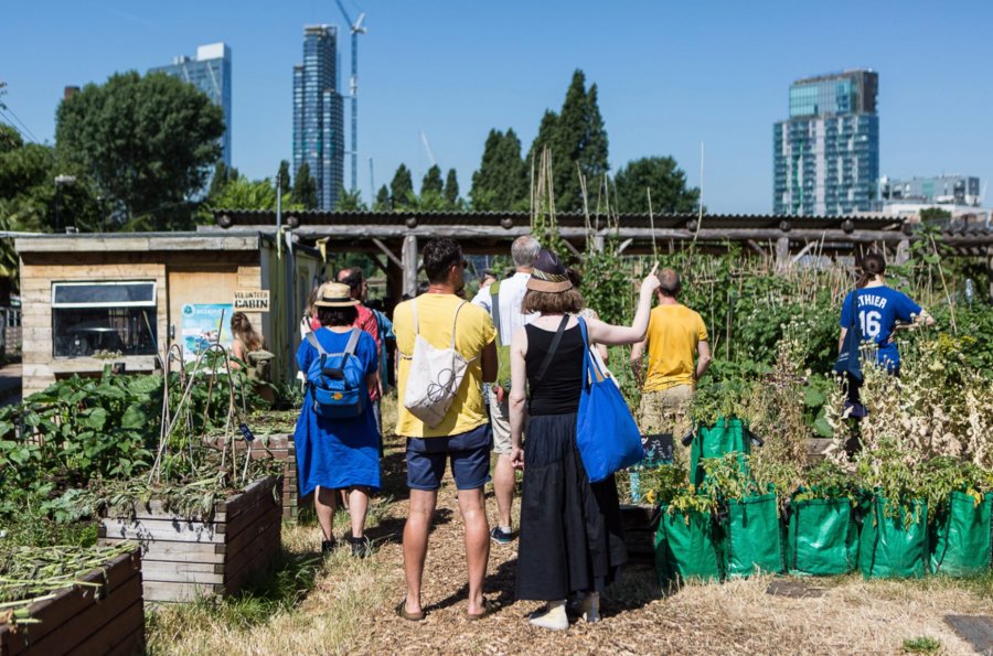 People standing in an urban garden with their backs turned away