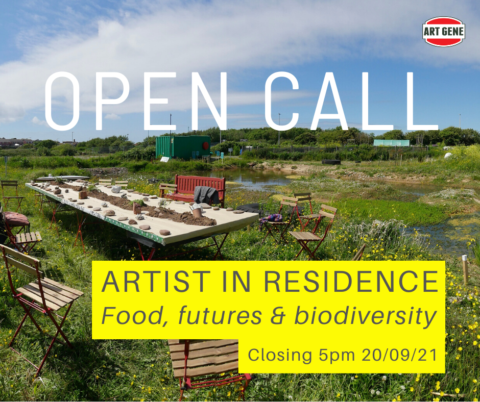 Reading Landscape workshop with Owen Griffiths, at Art Gene’s Allotment Soup: the Isle of Walney Community Growing Space Photo Maddi Nicholson, 2021 